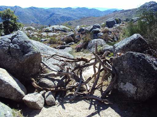 272- Cancela original.JPG
